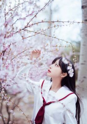 假面骑士极狐极狐_BD天堂在线